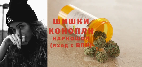 сатива Фурманов