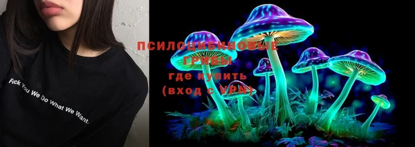 сатива Фурманов