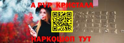 спиды Донской