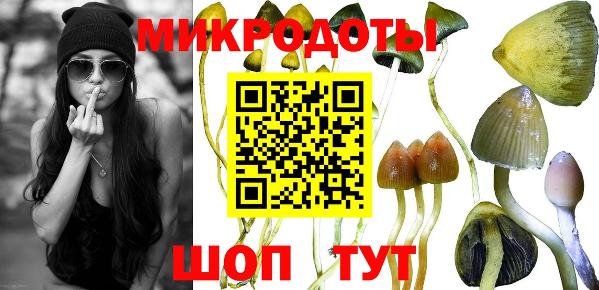 Псилоцибиновые грибы GOLDEN TEACHER Рыбинск