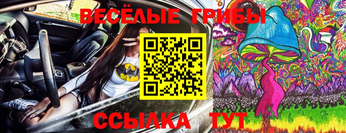 Галлюциногенные грибы мицелий  Рыбинск 